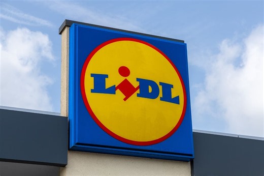 Lidl’s £14.99 solar light turns on by itself – ideal for dark garden paths this summer - Netmums