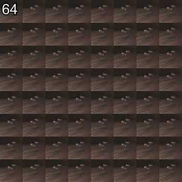 Root Beer No - 1 Million Times