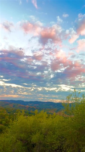 Another beautiful evening here at the farm. Ojai sunsets are the best : ) | Ojai Olive Oil