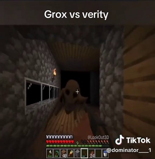 Grox vs Verity Minecraft moment