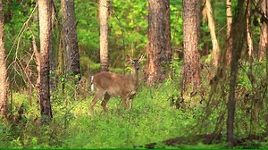 It's a Florida you may not know. Have you heard of this natural hidden gem before? #LoveFL | VISIT FLORIDA
