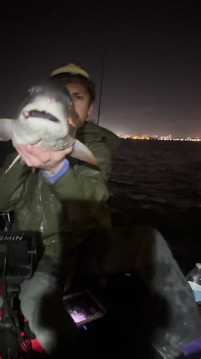 Goldfish Slayers: Catching Big in Florida