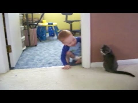 Peek-A-Boo, Kitten and Baby!