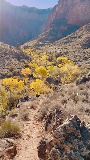 Golden Cottonwoods & Lost Cabin | Grand Canyon Fall Colors 🍂