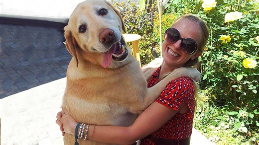 Dog skeptics turned lifelong dog enthusiasts