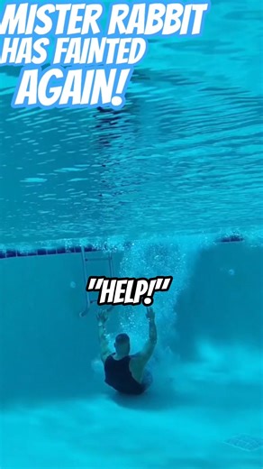 🐇 ‪@Sophiegachagirl‬ #missrabbit #pool #funny #comedy #memes #humor #swim #shorts #foryou #fyp