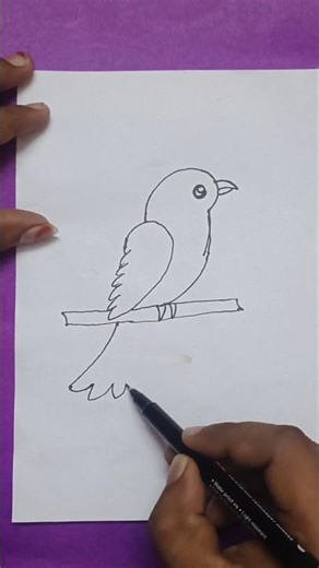 Master pencil art of parrot 🦜🦜 #shorts #youtubeshorts #environment #universe #music