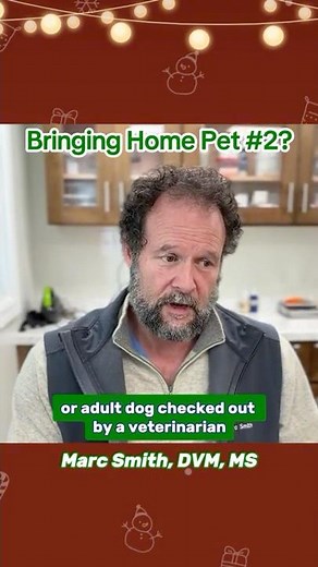 Tips for Bringing Home Pet #2 with Marc Smith, DVM, MS