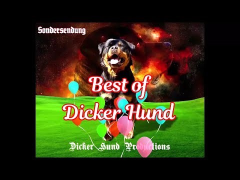 Best of Dicker Hund
