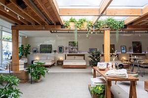 Avocado Green opens Georgetown mattress store — with 15-minute sleep experiences - WTOP News