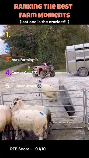 Ranking The Best Farm Moments🤣🤣