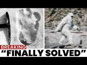 Scientists Finally Solve the Giant Yeti Mystery Using DNA… And It’s Not What You Think