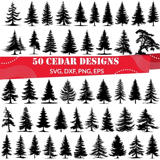 Cedar SVG Bundle, Cedar Tree Svg, Cedar Dxf, Cedar Png, Cedar Vector, Cedar Outline, Cedar Clipart, Evergreen Tree Svg, Tall Cedar Svg - Etsy