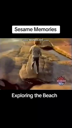 Exploring the Beach: Seaweed, Shells & Footprints