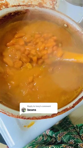 Exploring Different Types of Beans in Cooking