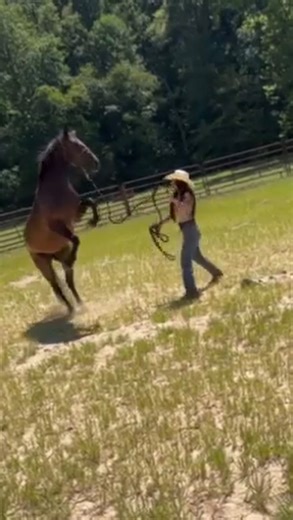 Did an evaluation on this guy the other day, and he ended up coming home with me instead. 😅 At 4 years old, he wasn’t quite the right fit for them, but I see a lot of potential. He hasn’t been started under saddle yet and has a few habits to work through - pawing, biting, striking and rearing, but I’m excited to get him going and put some miles on. By the time it’s all said and done, I think he’s going to make an awesome horse! 🔥 #Badger | Andrea Hurd