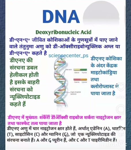 es video me DNA ke bare me puri jankari di gyi h biology in hindi