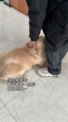 Why Are You So Late, Furry Friend