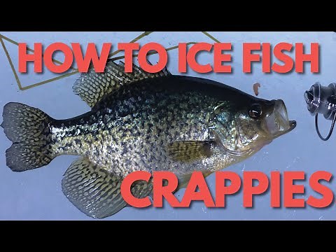 How to Ice Fish for Crappies - Ice Fishing Crappie Slabs
