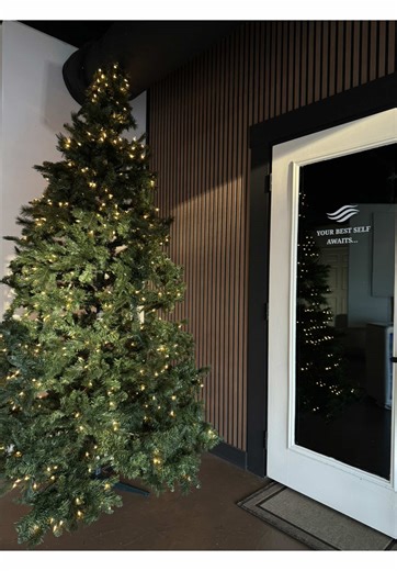 Studio Updates for This Semester: Key Changes