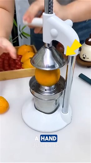 Hand Juicer
