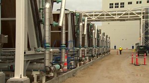Massive new Manitoba facility to feed demand for pea protein