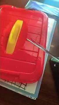 tutorial on how to make an apple pen(works on all devices)hope u enjoy it!