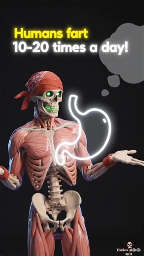 Types of Farts People Try to Hide 💀💨