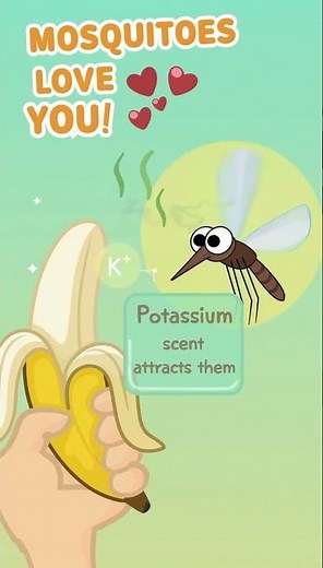 Why Mosquitoes Attack You After Eating Bananas 🦟🍌