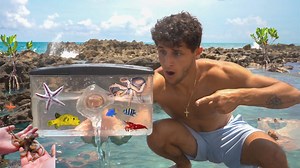 Tide pool fish trap catches exotic sea creatures!