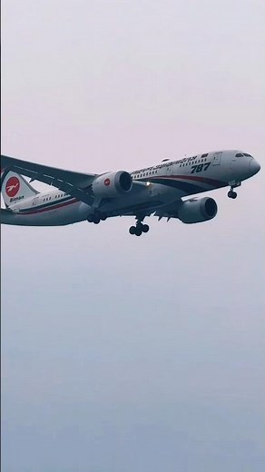 Biman Bangladesh Airlines | Boeing 787✈️ | #aviation #bimanbangladeshairlines #airplane #b787