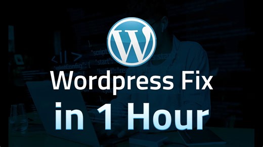 WordPress网站修复服务：WordPress网站打不开-WordPress报错-WordPress主题配置-WP插件开发-WP模板开发