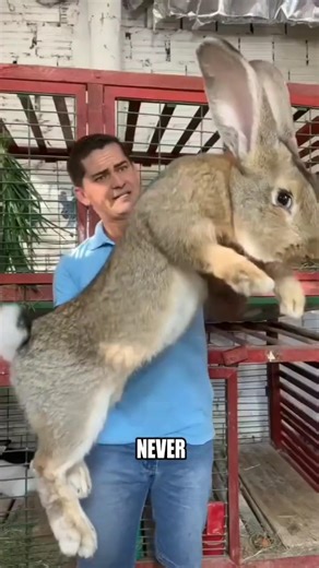 3 Animals That Never Stop Growing