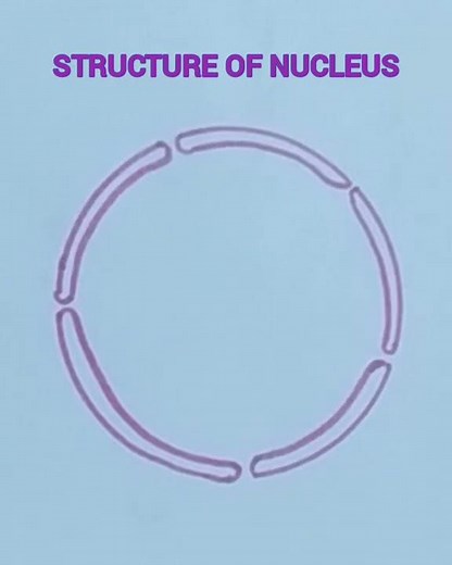 How to draw structure of nucleus easily/ Nucleus-easy drawing