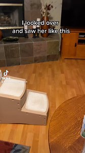 I love my cozy little puppy. #shorkie #dogsofinstagram #littledog #instapets #twoleggeddog #cutedog #sleepy #cozy #bipawdlife #shorkiesofinstagram #littledogsofinstagram | Noel the Bipawd Shorkie