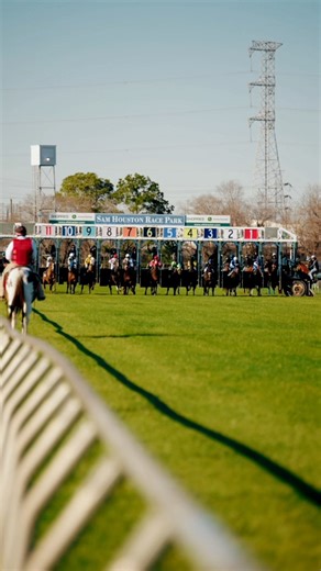 Horses aren't the only ones racing March 6th and 7th... 🐪 💚 🦓 Tickets ➡️ bit.ly/3O7sWFf | Sam Houston Race Park