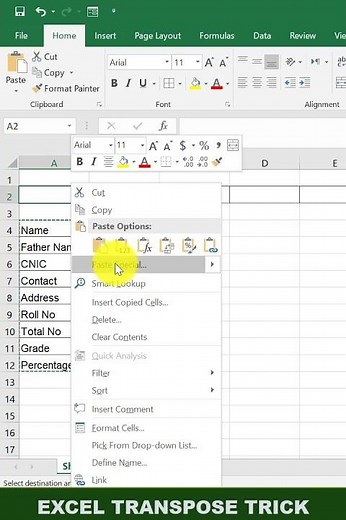 Transpose Data From Column Into Rows in Excel