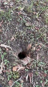 29K views · 4.3K reactions | What In the Texas Size Hole Lives Here? | From Suits to Boots | Facebook