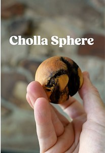 Expanding Spheries Using Cactus Wood for Unique Woodworking