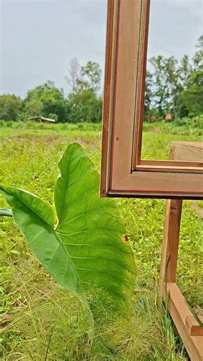 Clever Carpentry Techniques for Woodworking Projects