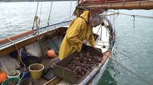 Fishermen in Cornwall face ruin over EU post-Brexit trade rules