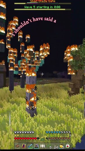 Blaze Problems... || Roguelike Adventures & Dungeons 2