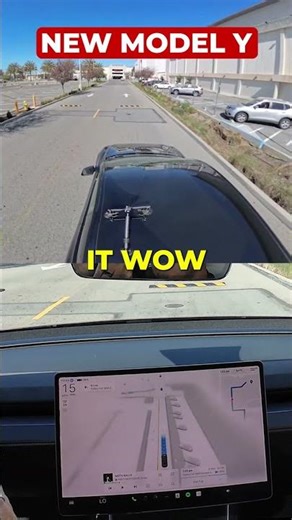 Does Tesla's FSD slow down for speed bumps?