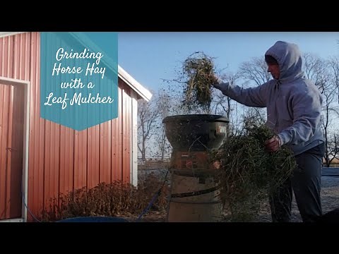 Grinding Horse Hay with a Leaf Mulcher