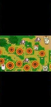 [PICO] Hamtaro Haru Natsu Aki Fuyu Tottoko Nakayoshi! - Game 3