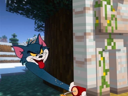 【搬运】汤姆速通我的世界