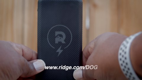 HOW AKC DOG AGILITY TRIAL WORKS