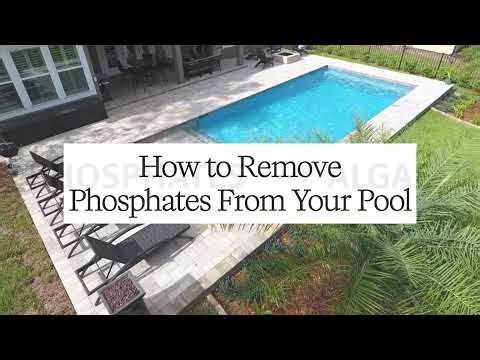 Breakwater Pool School: Phosphate Series Video 3: How To Remove Phosphates From Your Pool