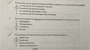 The structure of the plasma membrane of RBC is important in all... | Filo