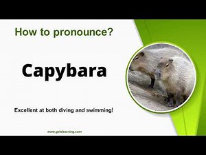 How to pronounce (Capybara) Correctly in English